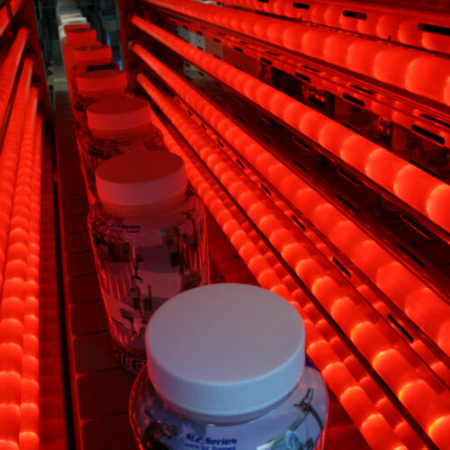 Accutek Packaging Machine